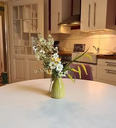 3zimmer-wohnkueche-altbau-90m2-eigener Parkplatz * أوبيرهاوزين